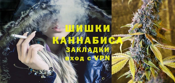 амф Козельск