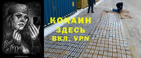 амф Козельск