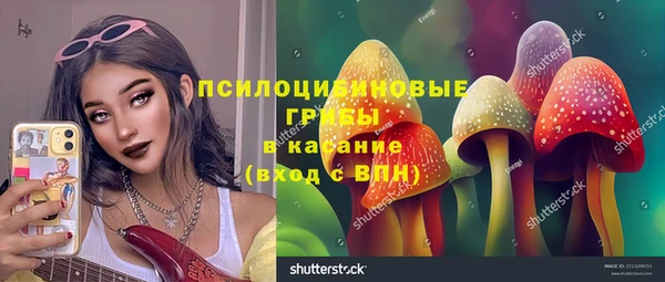 амф Козельск