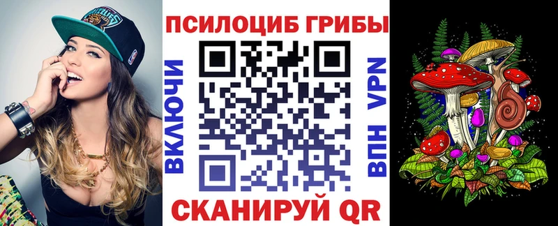 Купить закладки  Болхов  Галлюциногенные грибы мицелий 